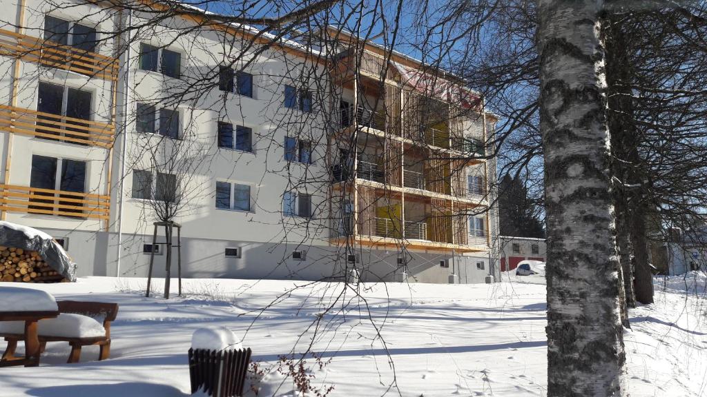 Apartmán 7 talvel