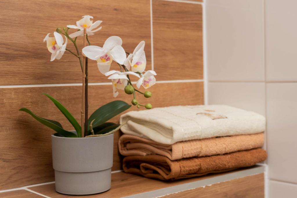 Apartamenty GoszóWita - Maisonette