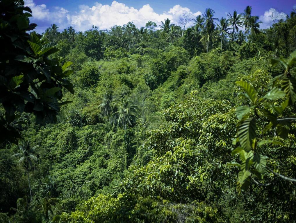 Angsoka Bungalow - 13