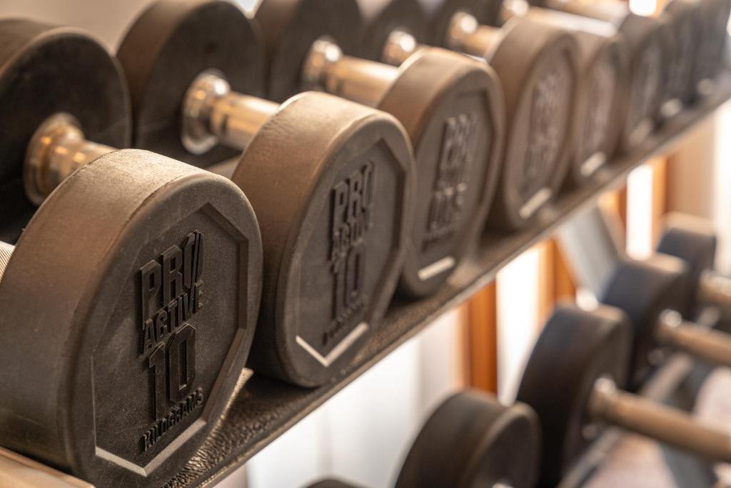 Fitness centrum a/nebo fitness zařízení v ubytování Koulen Hotel