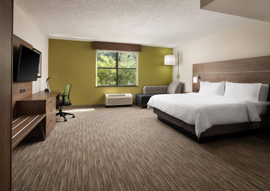 Holiday Inn Express Hotel & Suites Irving DFW Airport North, an IHG Hotel - 国王套件