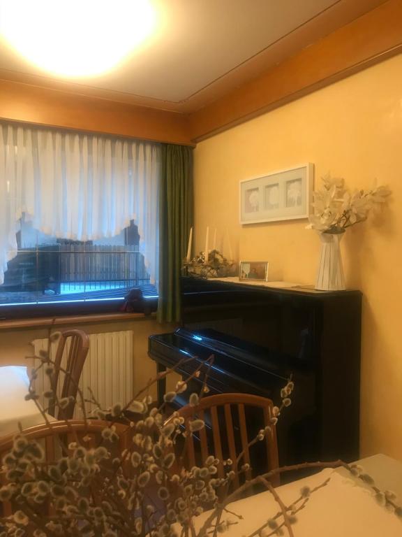 Fotografie z fotogalerie ubytování Hotel Binelli v destinaci Pinzolo