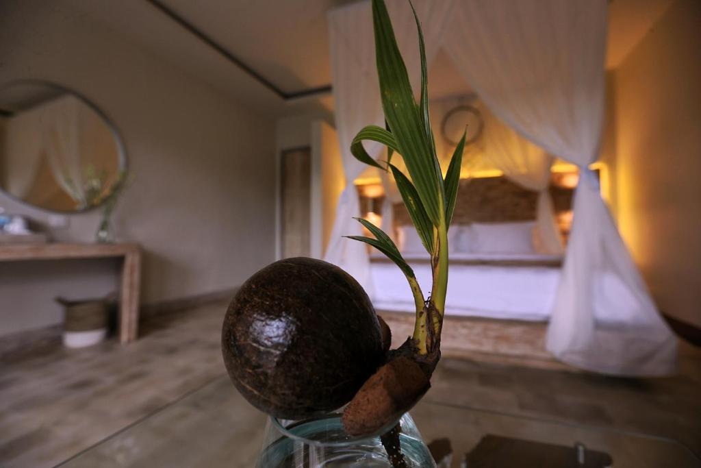 Angsoka Bungalow - 15