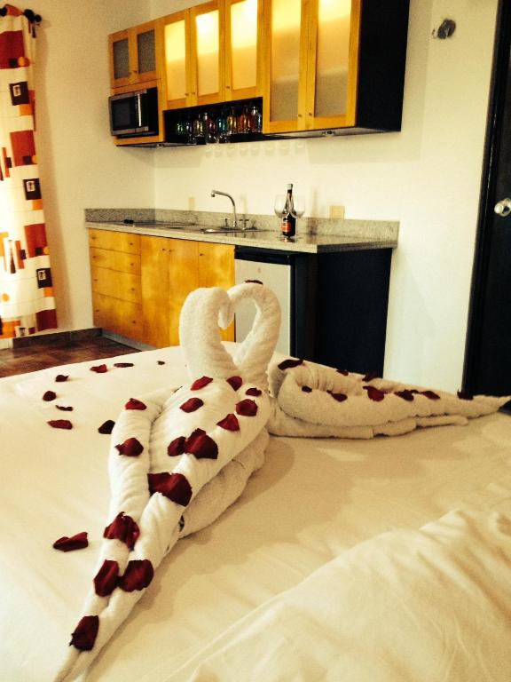 Kuchyň nebo kuchyňský kout v ubytování Hotel Tabasco Rio