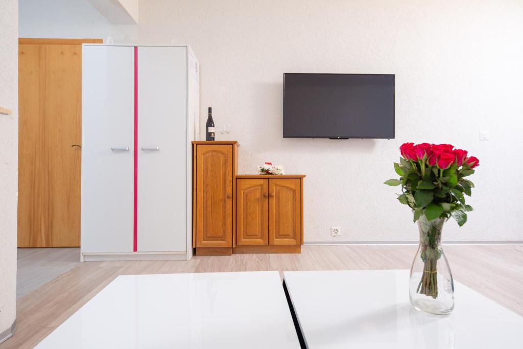 TV a/nebo společenská místnost v ubytování Haus Pickelschmiede