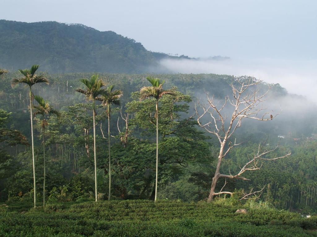Un paisaje natural cerca de la habitación en casa particular