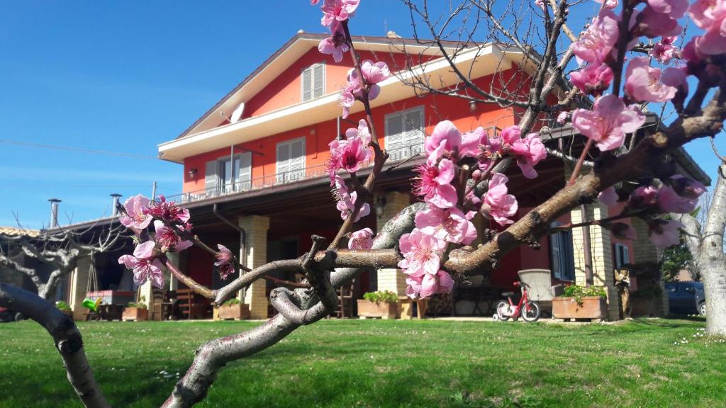 un árbol con flores rosas delante de una casa en Agriturismo Rosso di Sera en Cugnoli