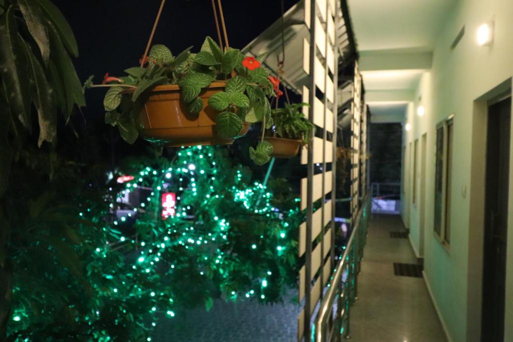Zahrada ubytování Jippus Galaxy Budget Air port hotel