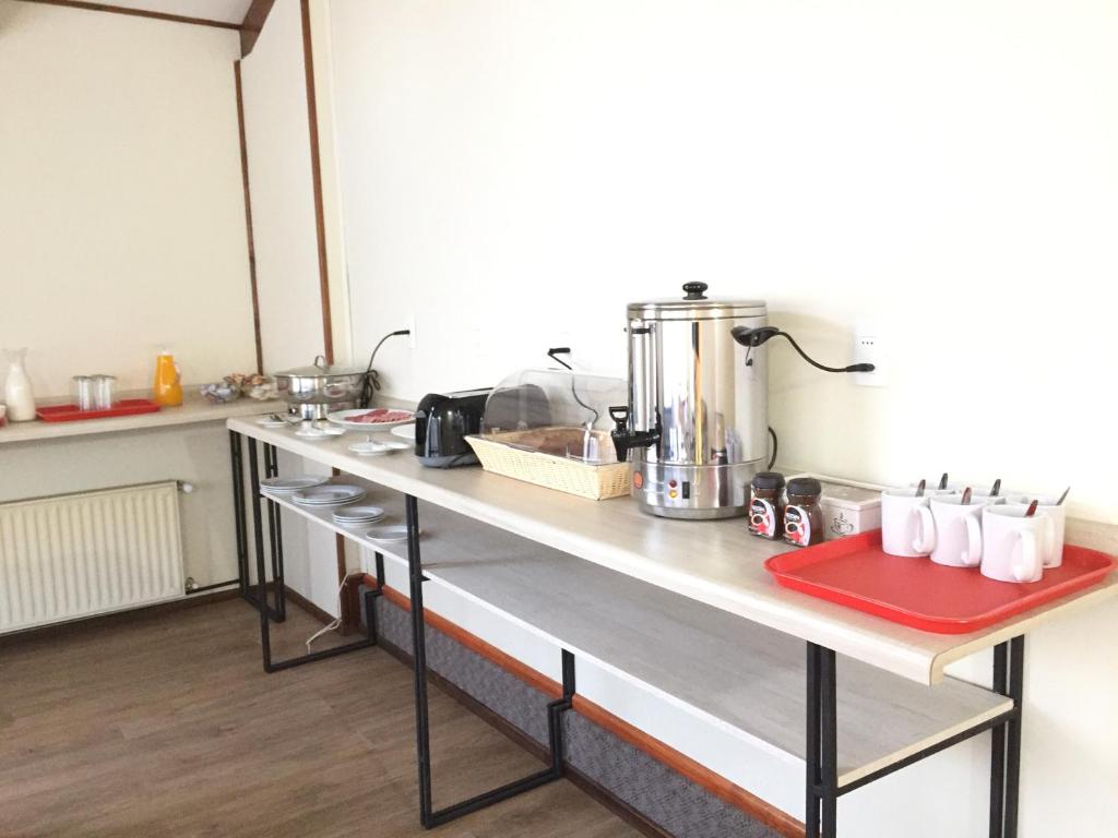 a kitchen with a counter with a mixer on it at Haiken Hostal in Punta Arenas