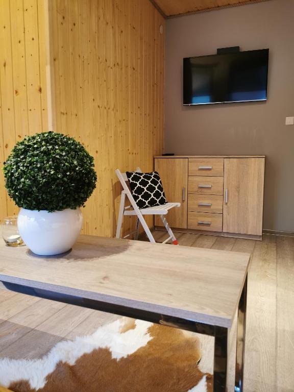 Televízia a/alebo spoločenská miestnosť v ubytovaní Ośrodek VolfCamp Kwaszenina