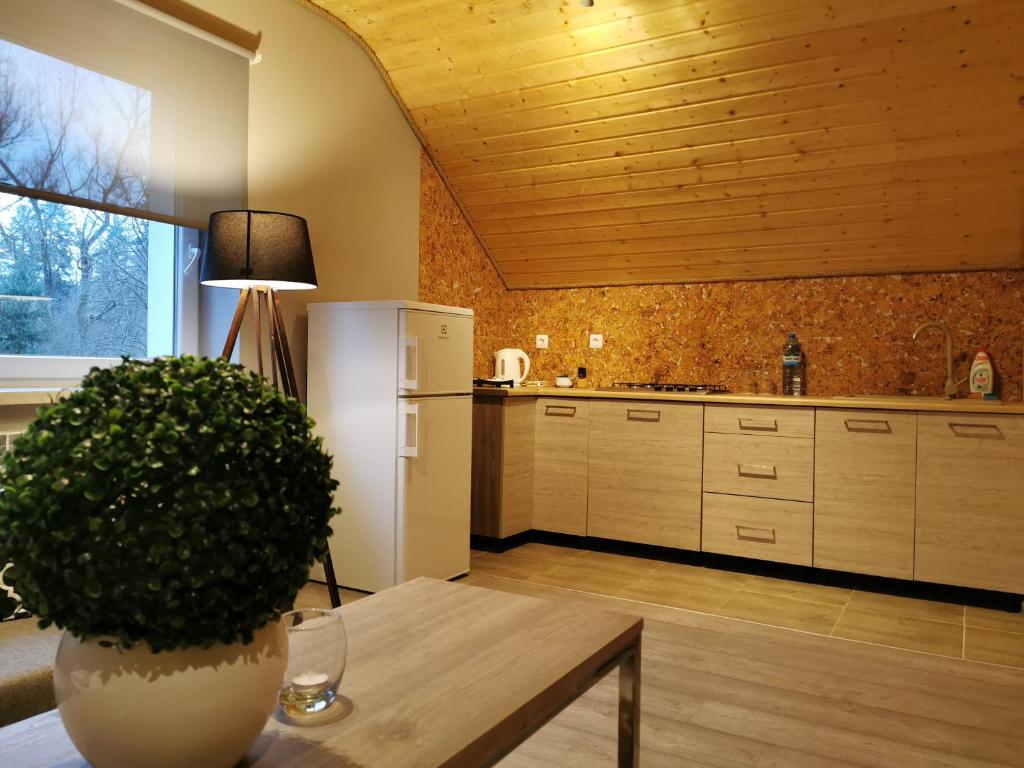 Kuchyňa alebo kuchynka v ubytovaní Ośrodek VolfCamp Kwaszenina