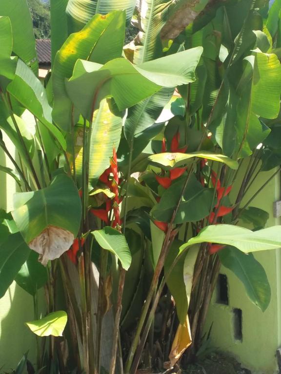  Pousada Canto Verde