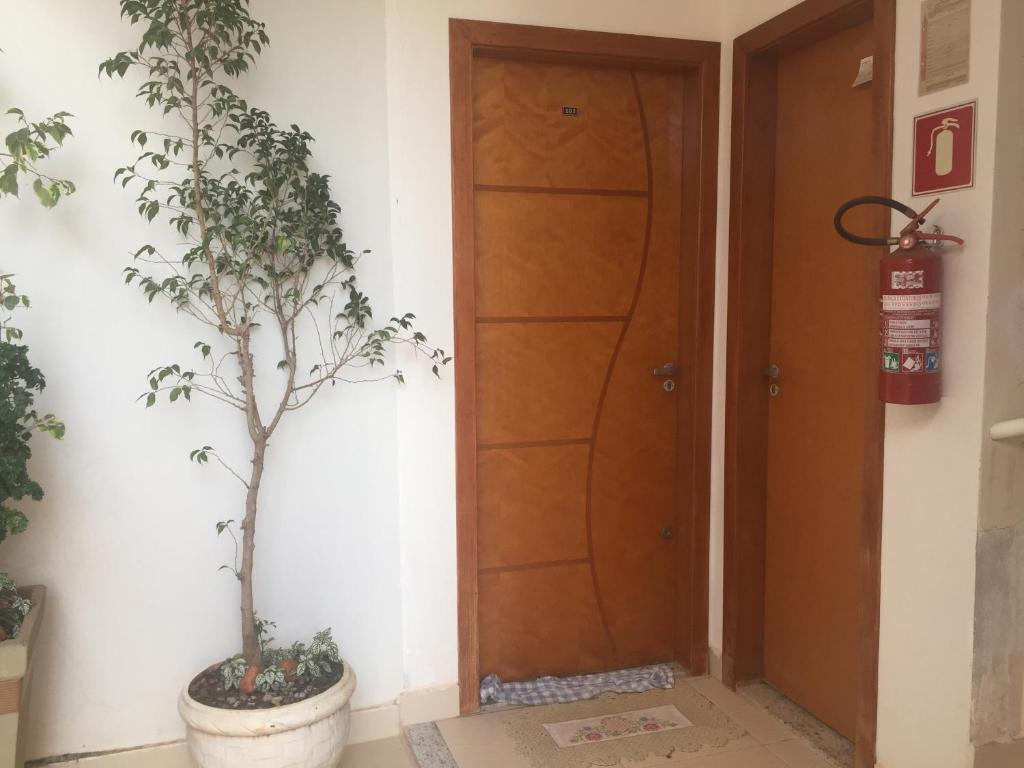 a hallway with a door and a tree in a pot at APARTAMENTO ACONCHEGANTE in Uberlândia