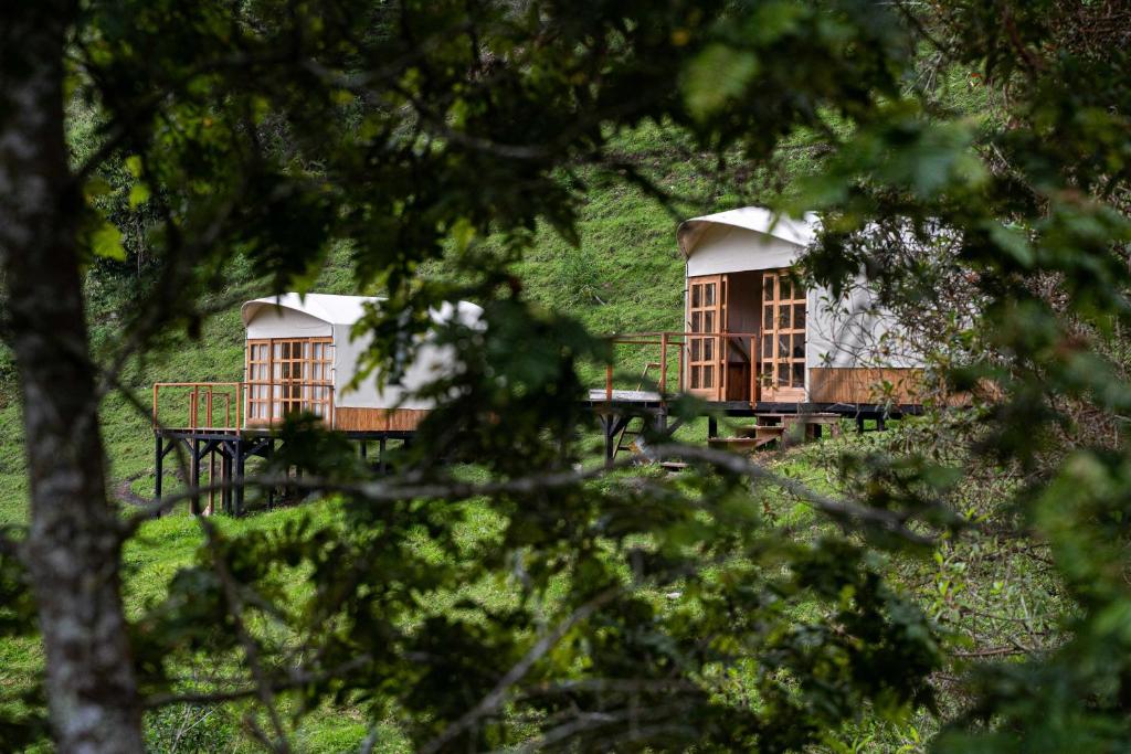 Zahrada ubytování Birdglamping Los Arboles Glamping Hotel