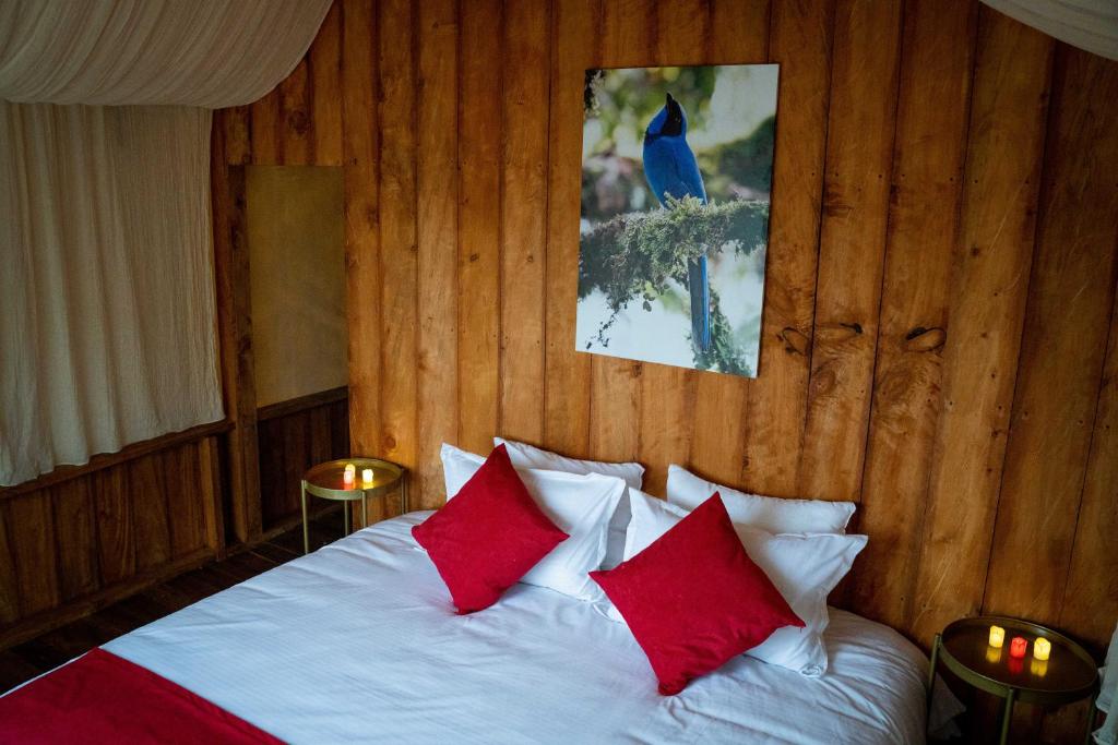 Birdglamping Aviturismo Los Arboles Glamping Hotel