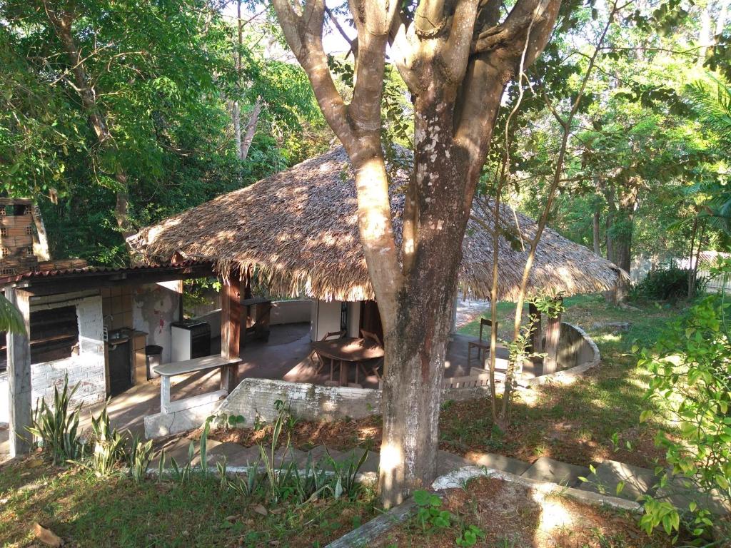  Hospedaria Casa da Palmeira