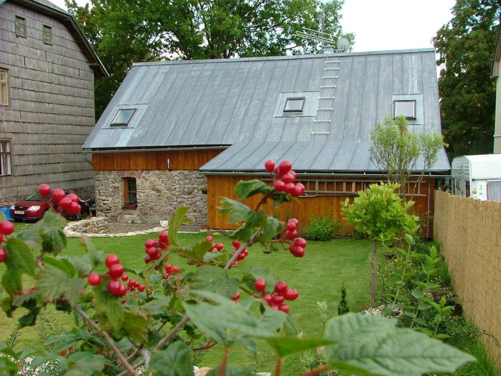 Zahrada ubytování Apartmány Nové Hutě