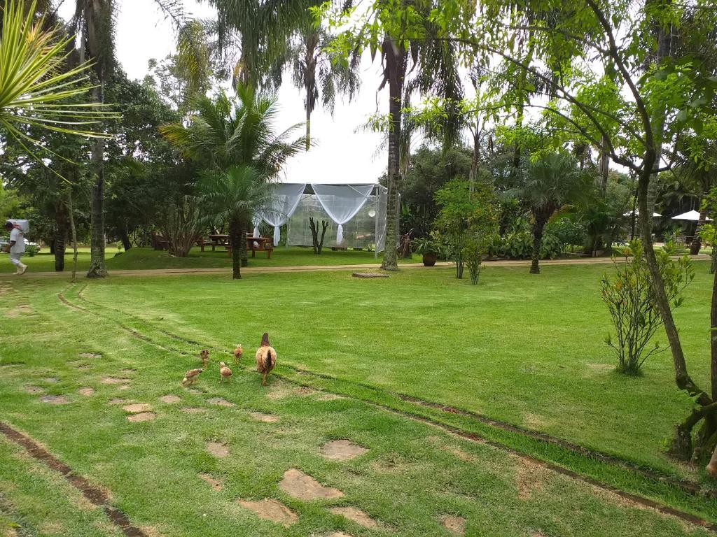  Hotel Fazenda Igarapés