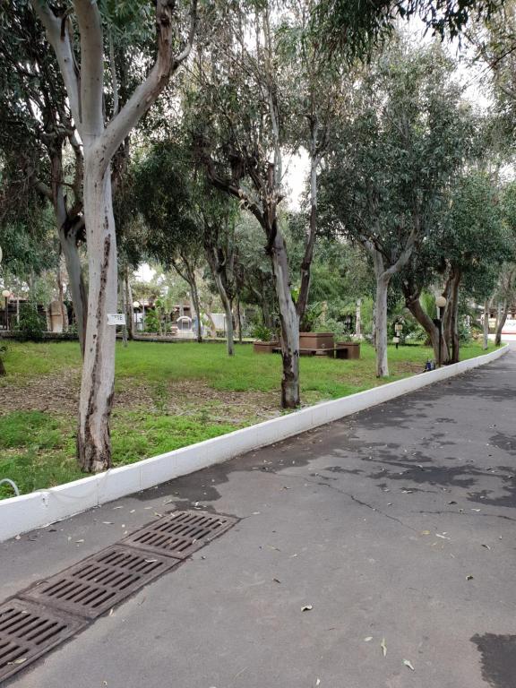 Rooms in the Beach - Resim 9