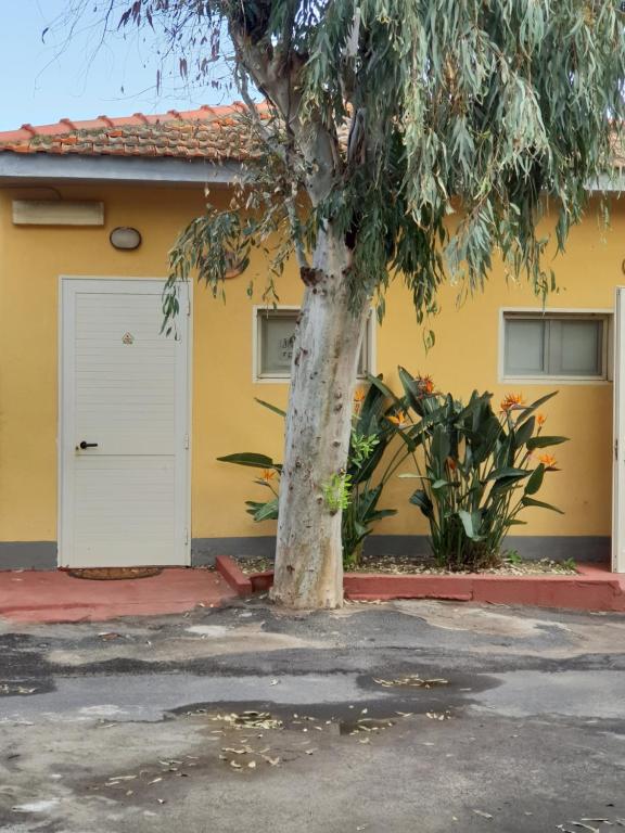 Rooms in the Beach - Resim 8