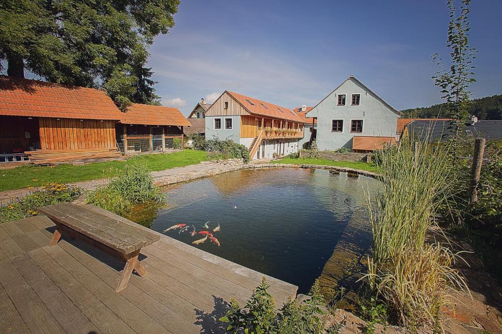 a person swimming in a pond with a wooden bench at U Svatého Petra in Kájov