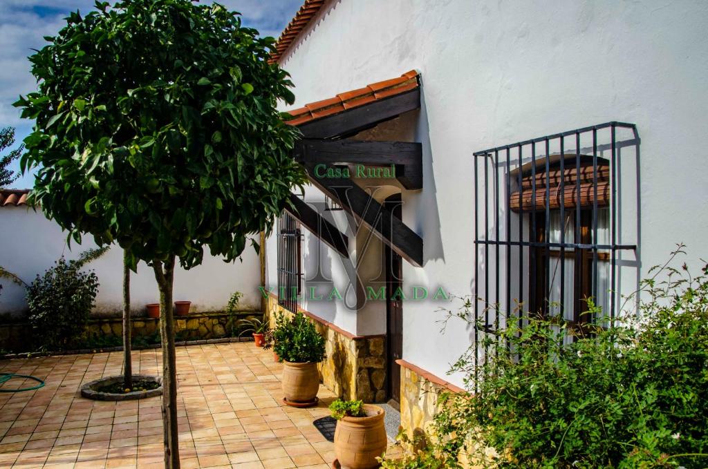 a house with a tree in front of it at Casa Rural VILLAMADA in El Real de la Jara