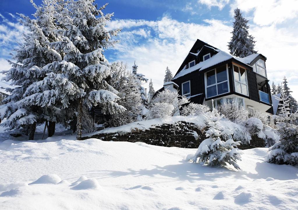 a house in the snow with snow covered trees at Apartments Panda in Vlasic