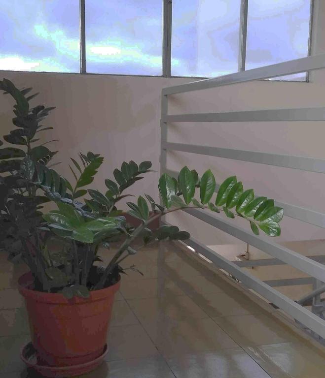  HOTEL VAPABUÇU