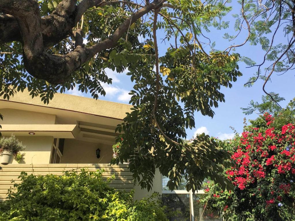 a house with trees and flowers in front of it at Dickinson Guest House, Guadalajara Expo in Guadalajara