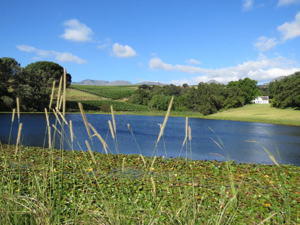 Blick auf einen See mit einem Haus im Hintergrund in der Unterkunft Navarre Farm Cottages in Stellenbosch