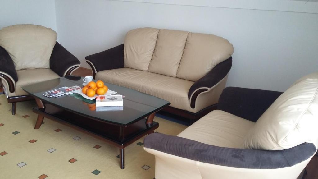Posezení v ubytování Hotel Terex