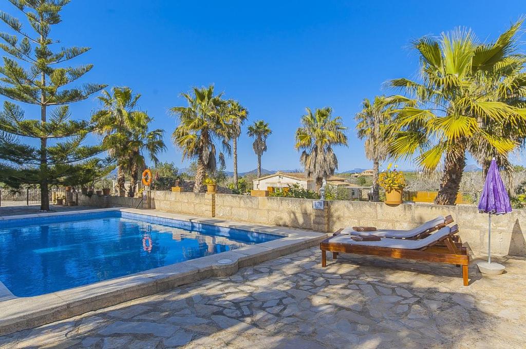 a swimming pool with a bench and palm trees at YupiHome Caseta de Vernissa in Santa Margalida
