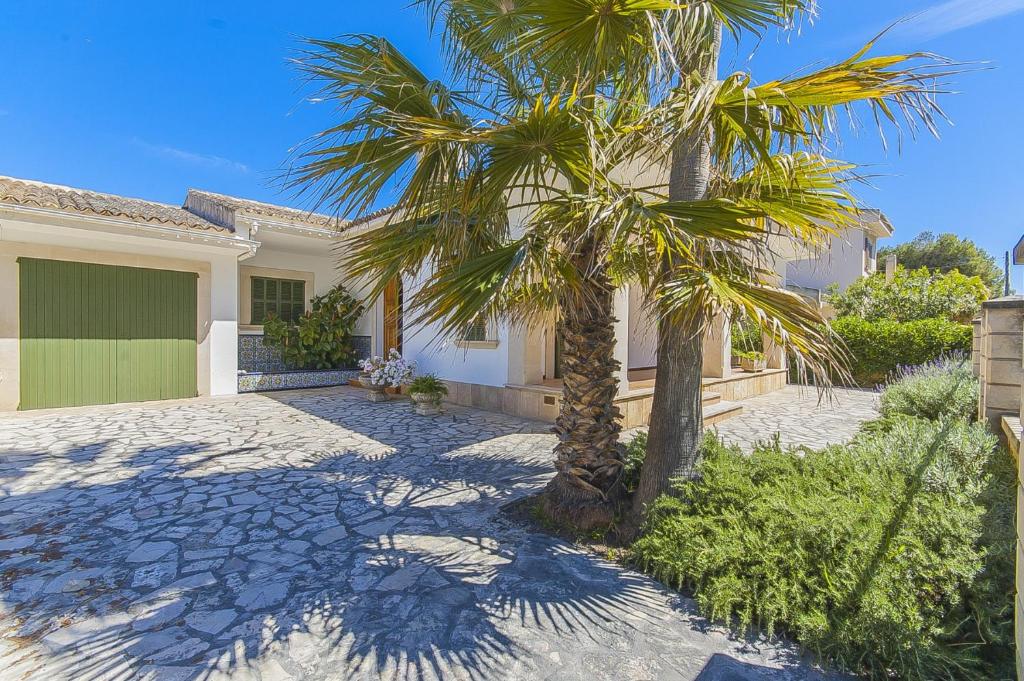 a palm tree in front of a house at YupiHome Villa Ànecs in Alcudia
