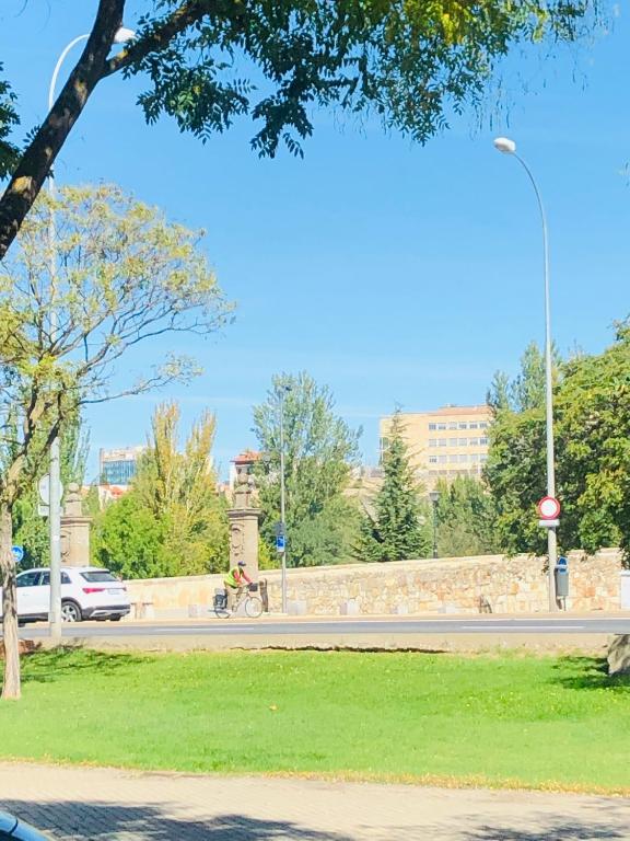 Fotografia z galérie ubytovania Apartamento Puente Romano Portal 4 1-B v destinácii Salamanca