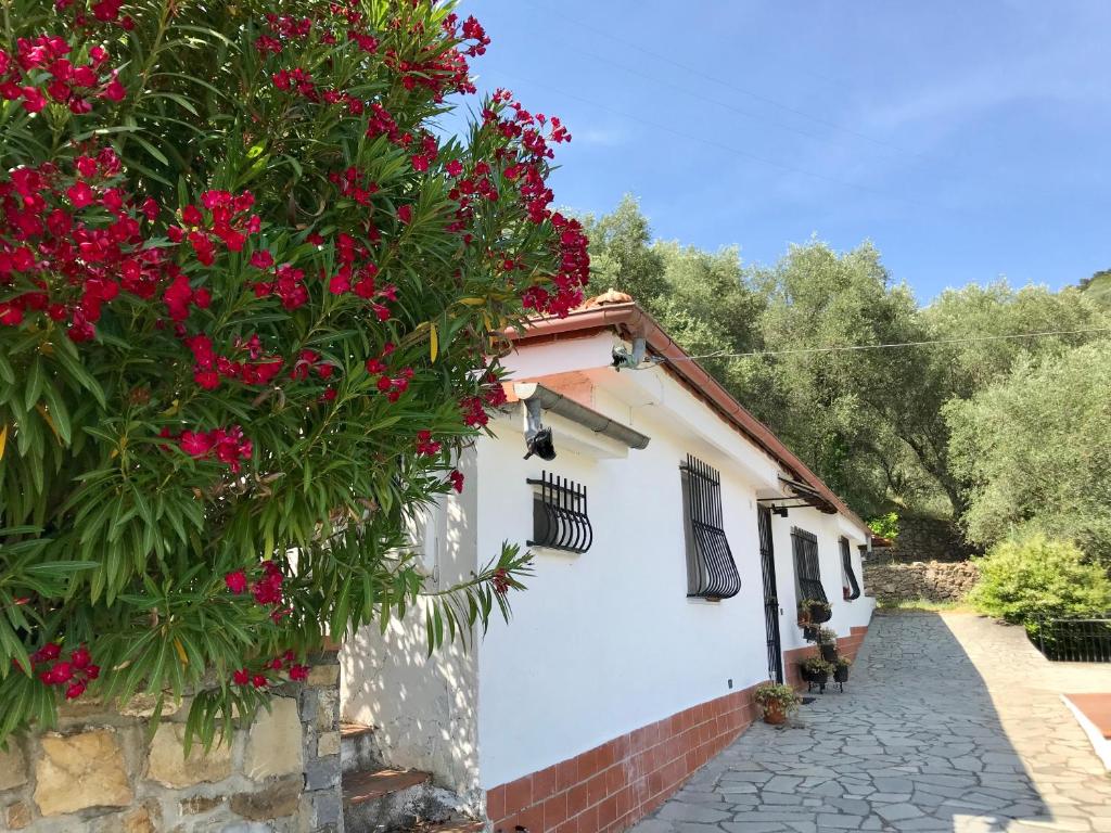 een huis met bloemen erop bij Casa Uliveto in Diano San Pietro