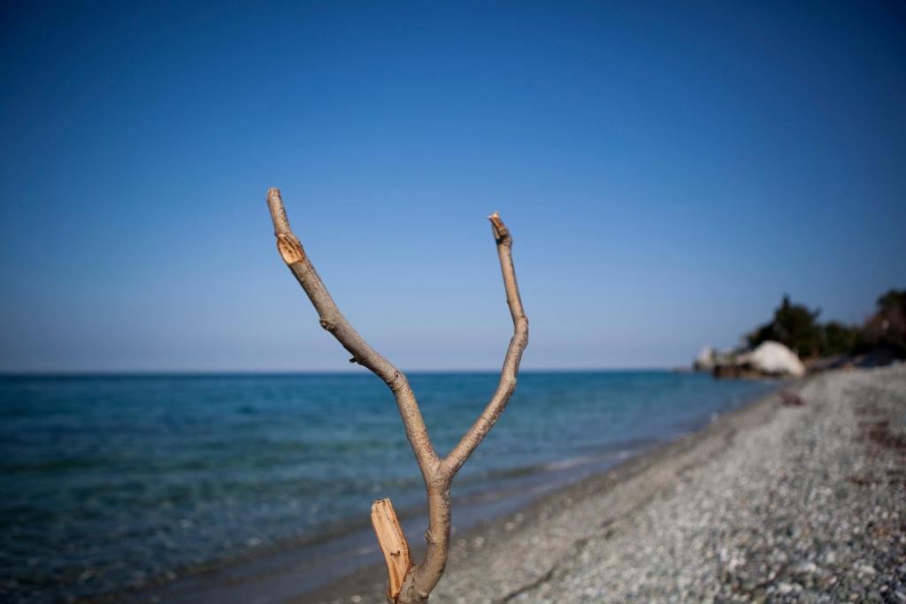 Ξενοδοχείο Κύματα