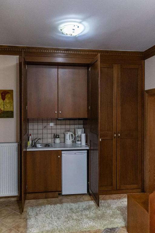 Kuchyň nebo kuchyňský kout v ubytování Margit Suites Hotel