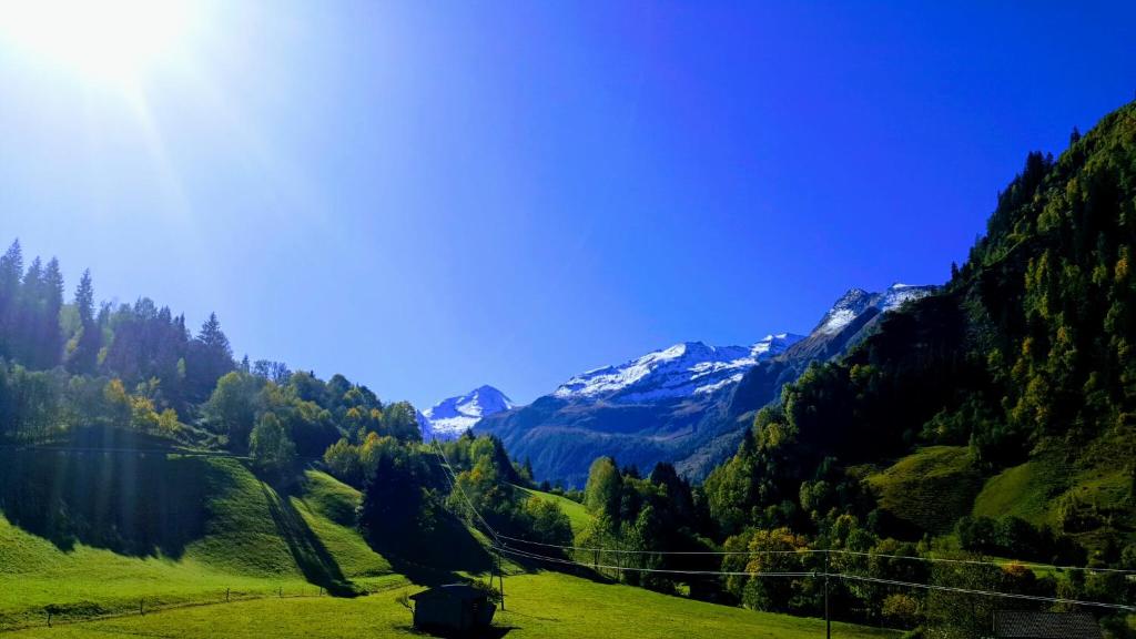 ein grünes Feld mit Bergen im Hintergrund in der Unterkunft Ferienwohnung Seidl Top 2 in Rauris