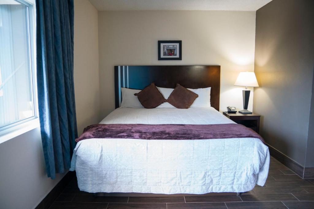 Orange Tree Inn photo