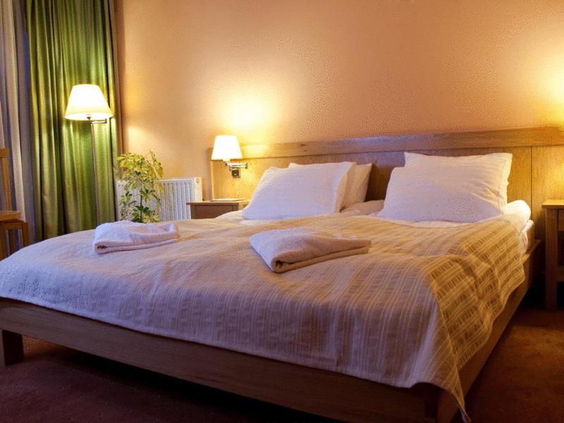 Hotel - Restaurant Gonduzo - Premium Dubbele Of Dubbele Kamer
