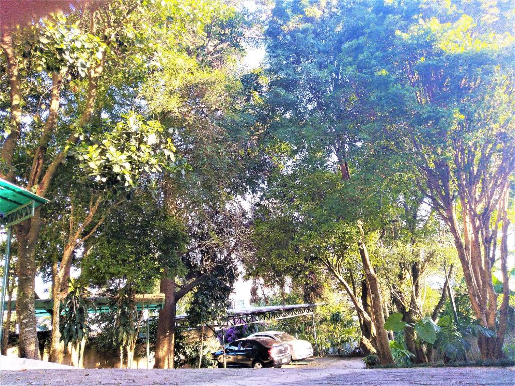  Pousada Casa Verde - Curitiba