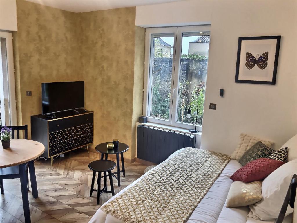 een woonkamer met een bank en een tv bij Le Mangin - Studio avec terrasse in Metz