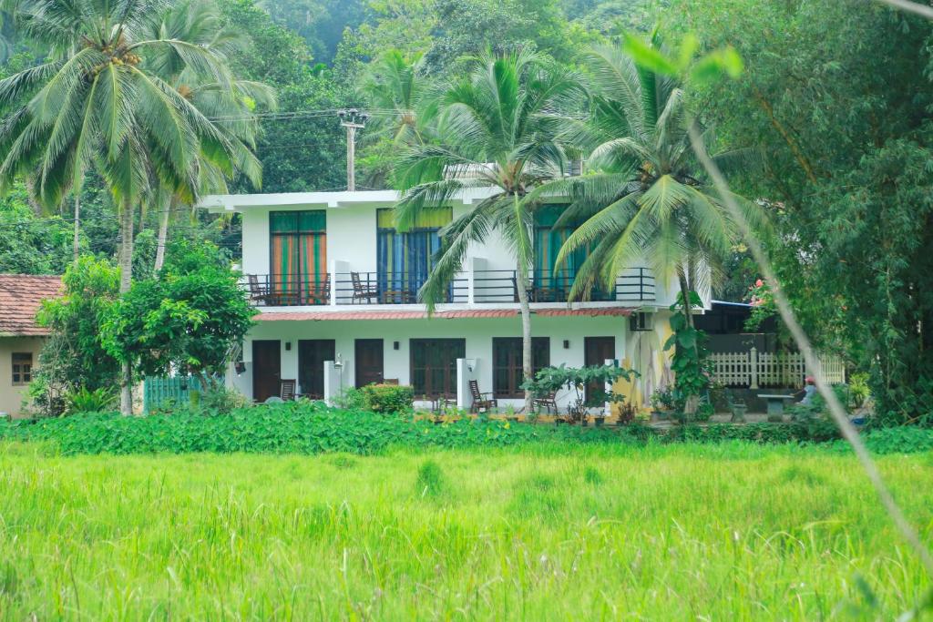 a house with palm trees in front of a field at Paddy Field View Resort in Mirissa