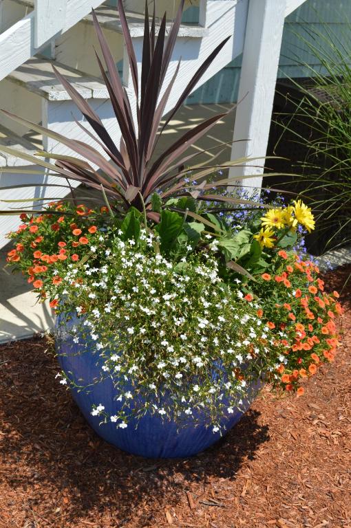 a blue pot filled with flowers and a plant at The Escape Inn in South Yarmouth