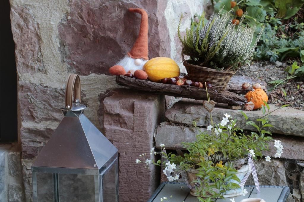 Zahrada ubytování Tauber Relax Loft