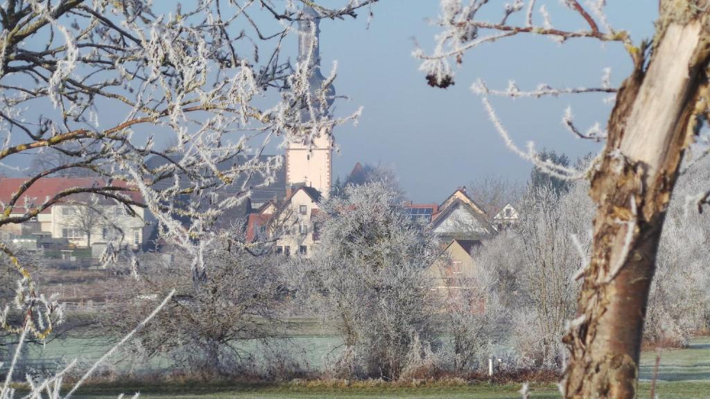 Příroda nedaleko apartmánu