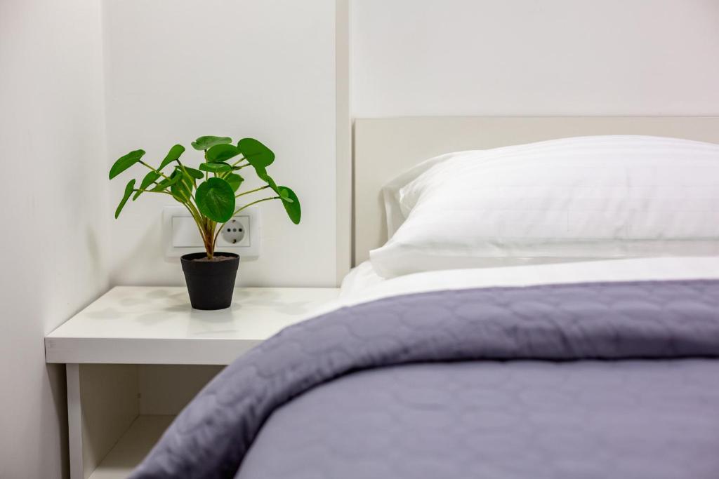 Cozy apartments center - One-Bedroom Apartment