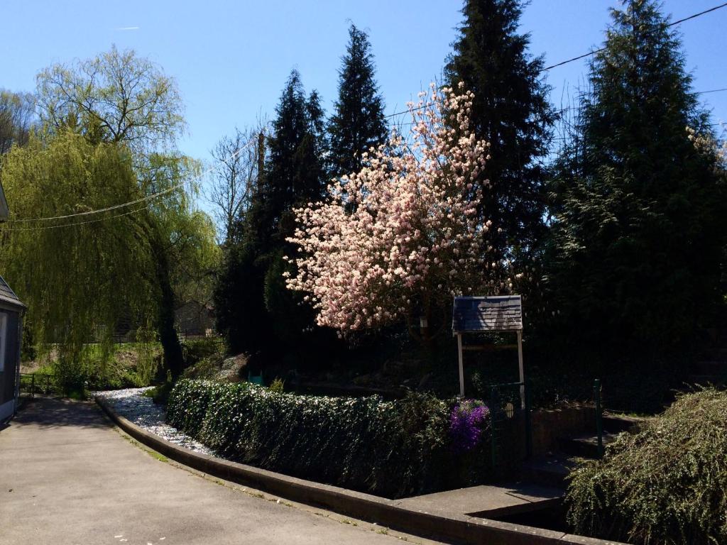 un parc avec un arbre aux fleurs roses et un panneau dans l'établissement Olne Happy Place, à Olne