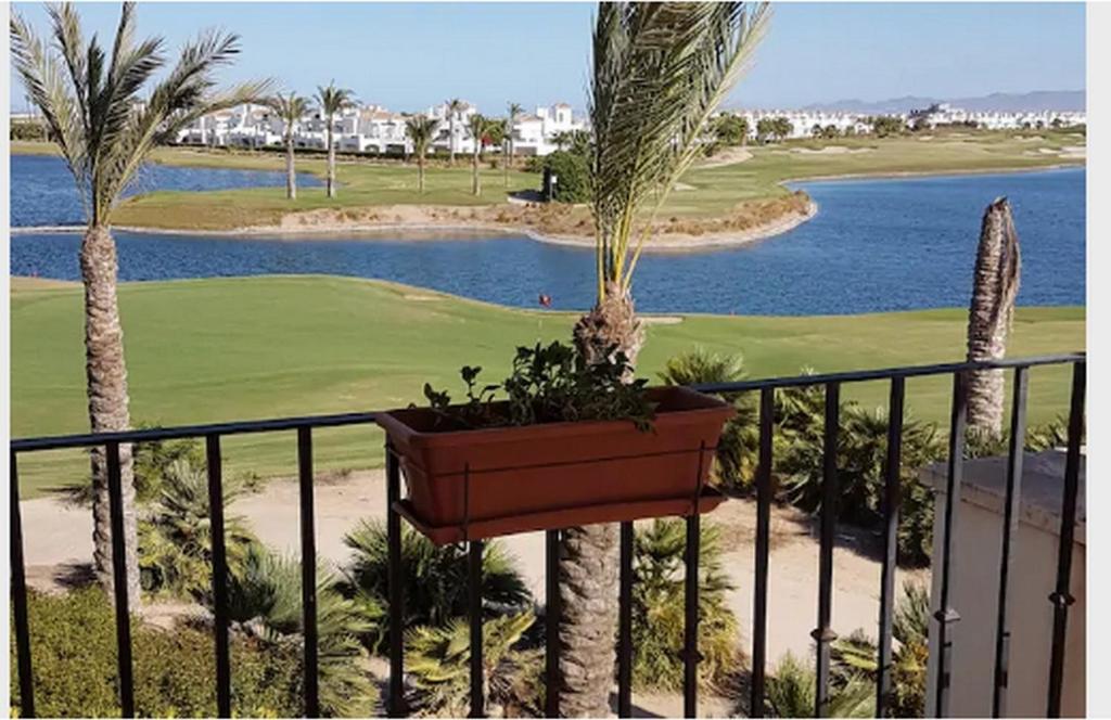 a potted palm tree on a balcony overlooking a golf course at Emperador 302919-A Murcia Holiday Rentals Property in Roldán