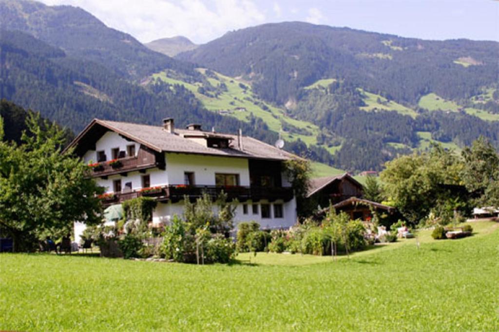 a house in a field with mountains in the background at Gästehaus Pfister Maria in Hippach